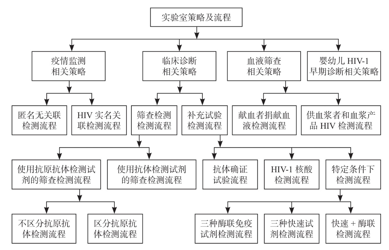 图1 艾滋实验室检测策略及相关流程